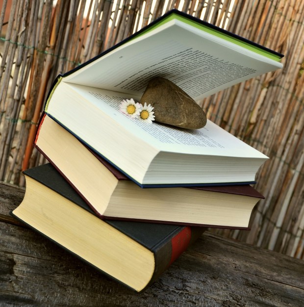 books-676420_1280